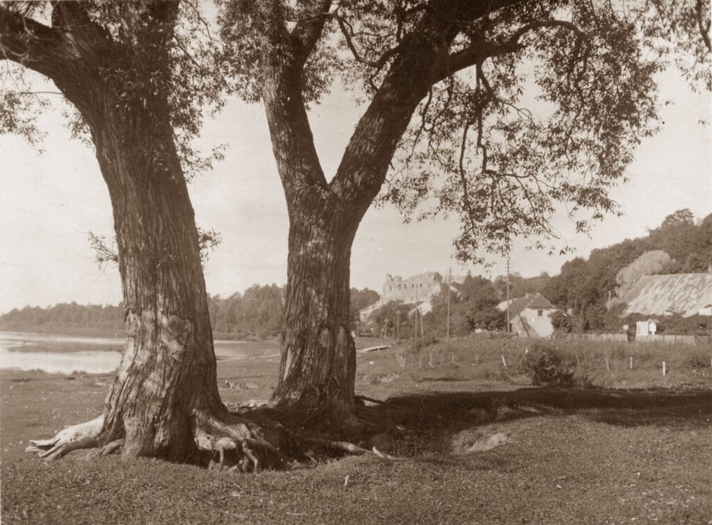 Daugavas krasts pie Stūreslejām, 1930. gadi. Kārļa Lakšes foto.
